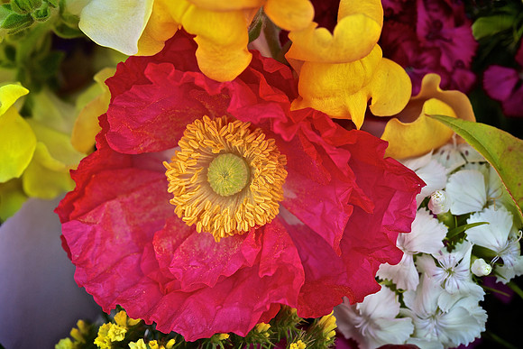 Herr Fresh Flowers