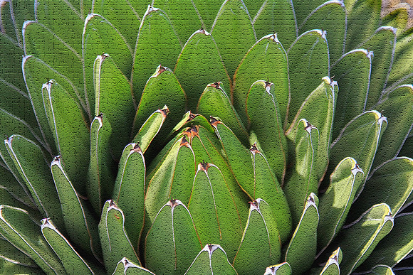 St. Croix
