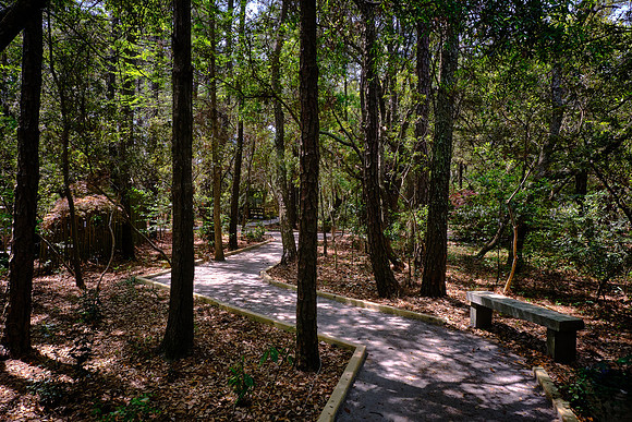 Outer Banks Arboretum and Teaching Garden, Kill Devil Hills, NC