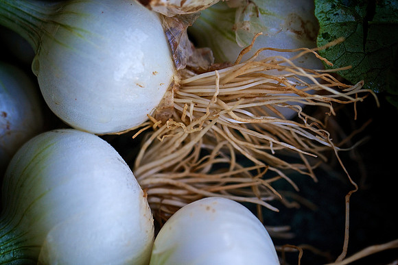Davidson Farmers Market