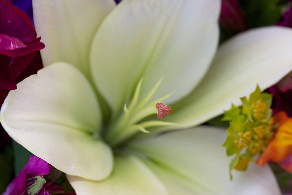 Herr Fresh Flowers
