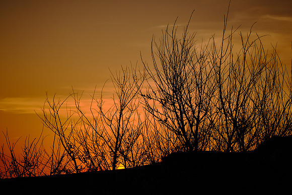 Sunset from atop the dunes at Jockey's Ridge State Park, Nags Head, NC