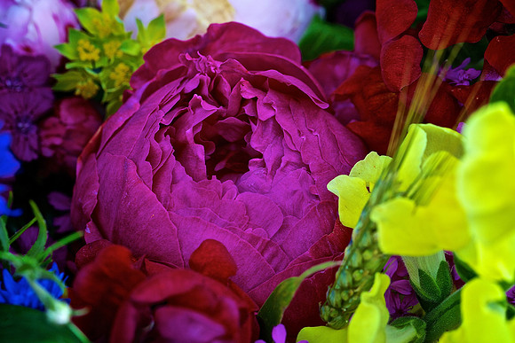 Herr Fresh Flowers