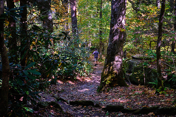 Mile Post 308, Flat Rock Trail