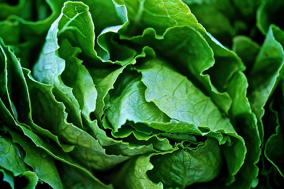 Davidson Farmers Market