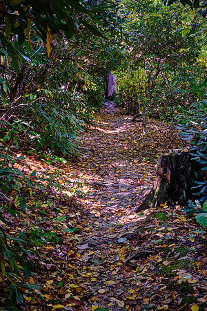 Mile Post 260, Jumpingoff Rocks Trail