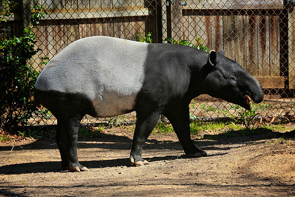 2014 March - Columbia SC Zoo