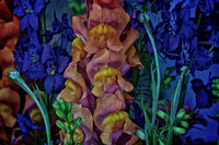 2013 June - Davidson Farmers' Market - Stylized