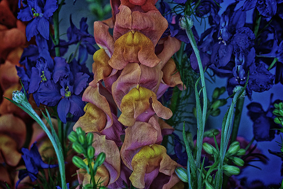 Herr Fresh Flowers