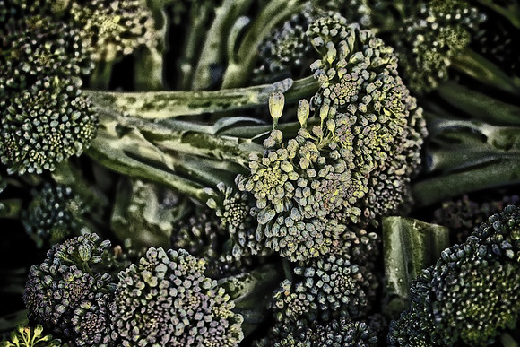 Davidson Farmers Market