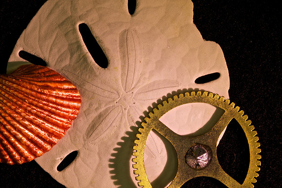Macro Photography
