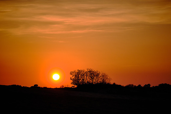 Sunset from atop the dunes at Jockey's Ridge State Park, Nags Head, NC