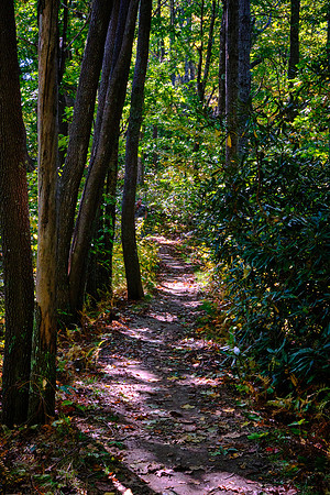 Mile Post 260, Jumpingoff Rocks Trail