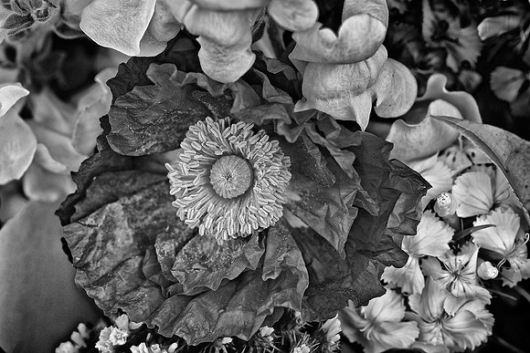 Herr Fresh Flowers