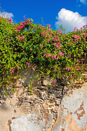 St. Croix
