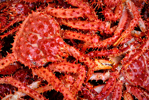 Angelmo Fish Market, Puerto Montt, Chile