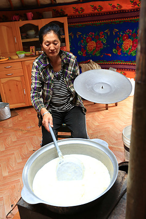 Yak-milk yogurt making duty