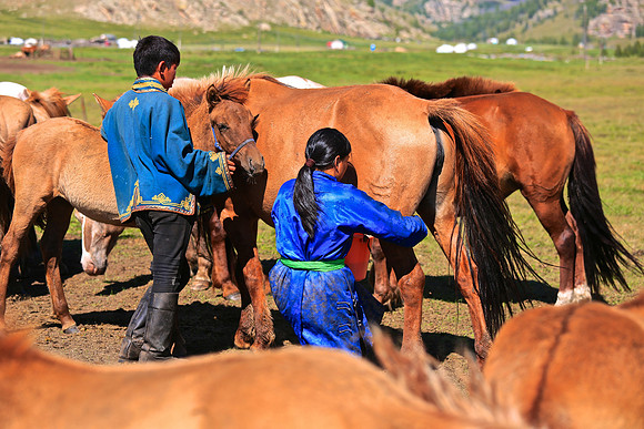 11 year-old son and 17 year-old daughter milk mares every 2 hours.