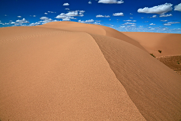 Moltsog Els Sand Dunes, Gobi Desert, Outer Mongolia