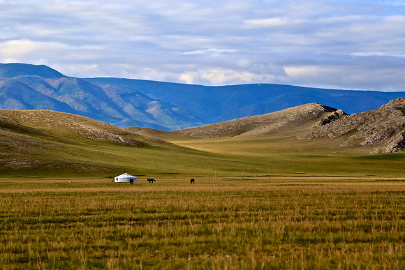 Northern Mongolia landscape
