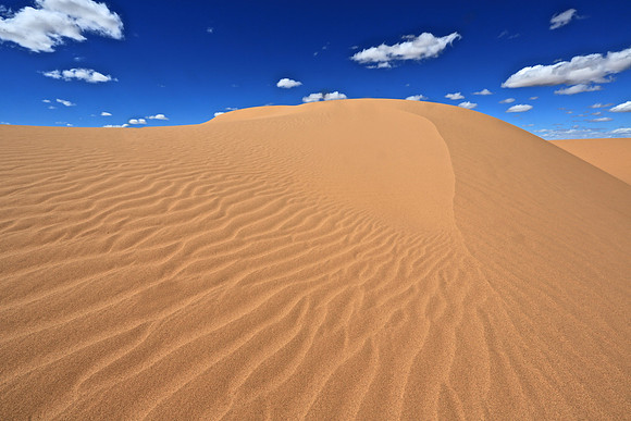 Moltsog Els Sand Dunes, Gobi Desert, Outer Mongolia
