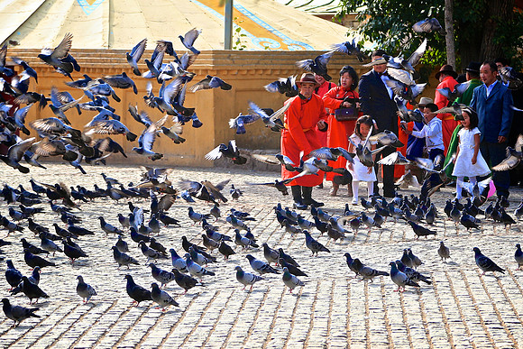 Wedding party actually feeds these flying rats.