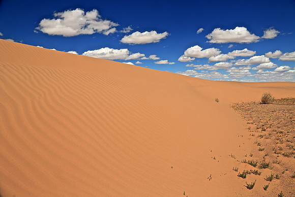 Moltsog Els Sand Dunes, Gobi Desert, Outer Mongolia