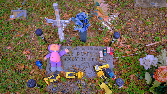Magnolia Cemetery, Charleston, SC
