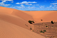 2013 Aug - Sand Dunes of Outer Mongolia