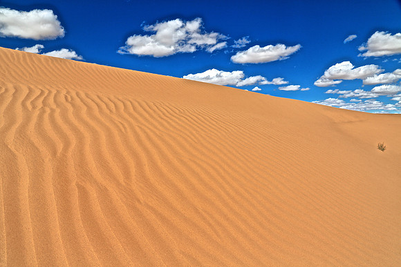 Moltsog Els Sand Dunes, Gobi Desert, Outer Mongolia