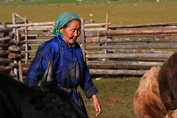 Nomad goat, sheep, and yak herders