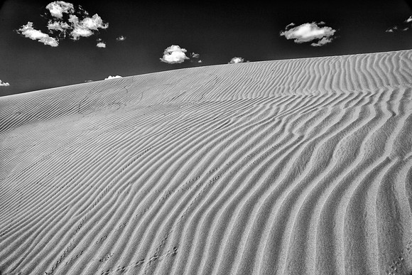 Moltsog Els Sand Dunes, Gobi Desert, Outer Mongolia