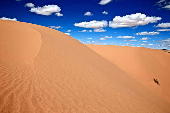 Moltsog Els Sand Dunes, Gobi Desert, Outer Mongolia