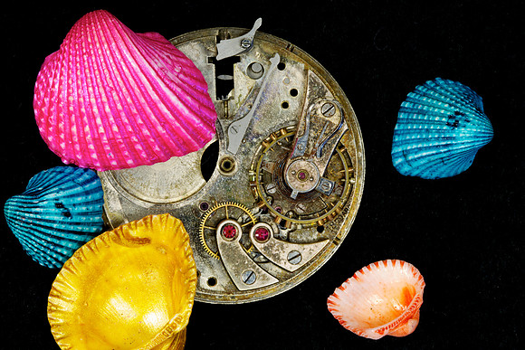 Macro Photography