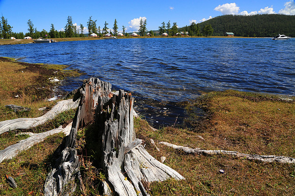 Ashihai Ger Camp, Lake Hovsgol