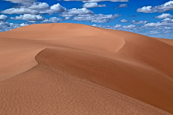 Moltsog Els Sand Dunes, Gobi Desert, Outer Mongolia