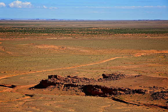 When dinosaurs died at Flaming Cliffs, they died quickly: burial by fierce sandstorms is the only way to account for the discovery of a dinosaur skeletons  found standing in the upright position.