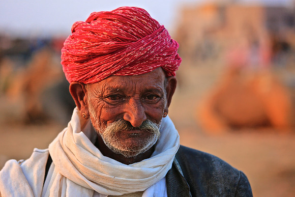 Nagaur Camel and Livestock Fair, Nagaur, Rajasthan.