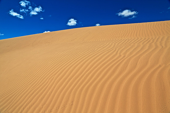 Moltsog Els Sand Dunes, Gobi Desert, Outer Mongolia