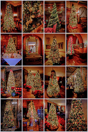 Biltmore at Christmas