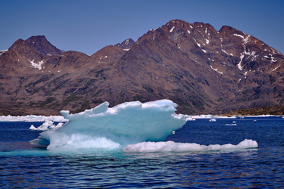 Some of the ice survives from one year to the next.
