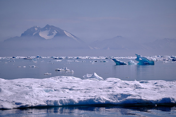 The dense surface water sinks and produces dense water masses.
