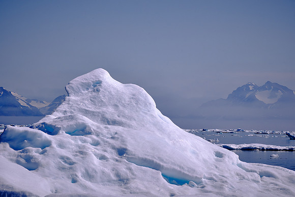 The dense water is essential in maintaining the thermohaline circulation.