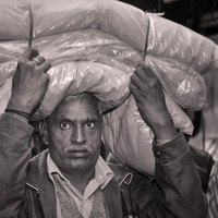 2024 June - Faces of the World