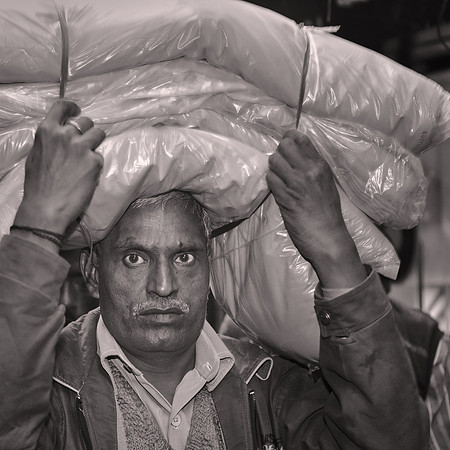 Northern India
