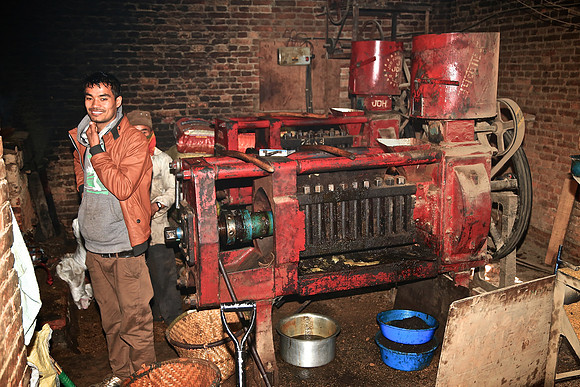 Processing mustard seed