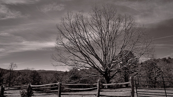 Blue Ridge Parkway, NC