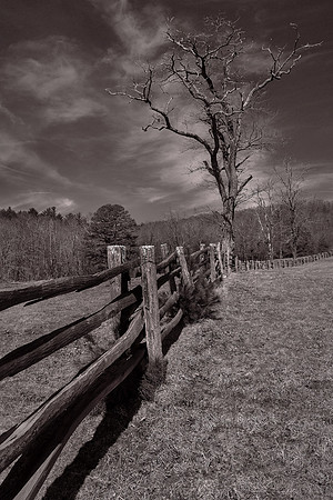 Blue Ridge Parkway, NC