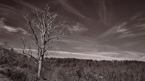 Blue Ridge Parkway, NC