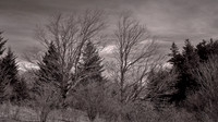 2021 Mar - Blue Ridge Parkway & Grayson Highlands State Park
